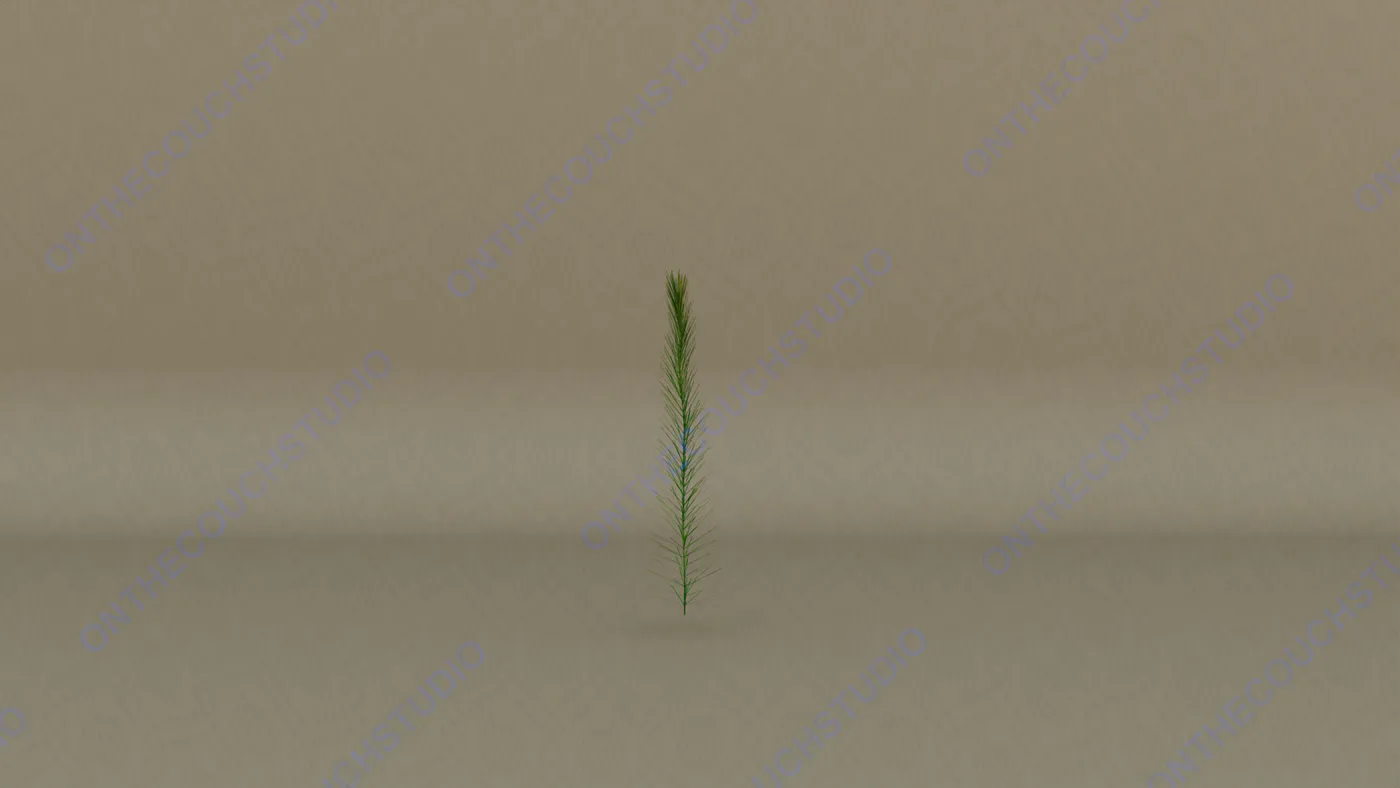 Plant 04 3D Model product preview