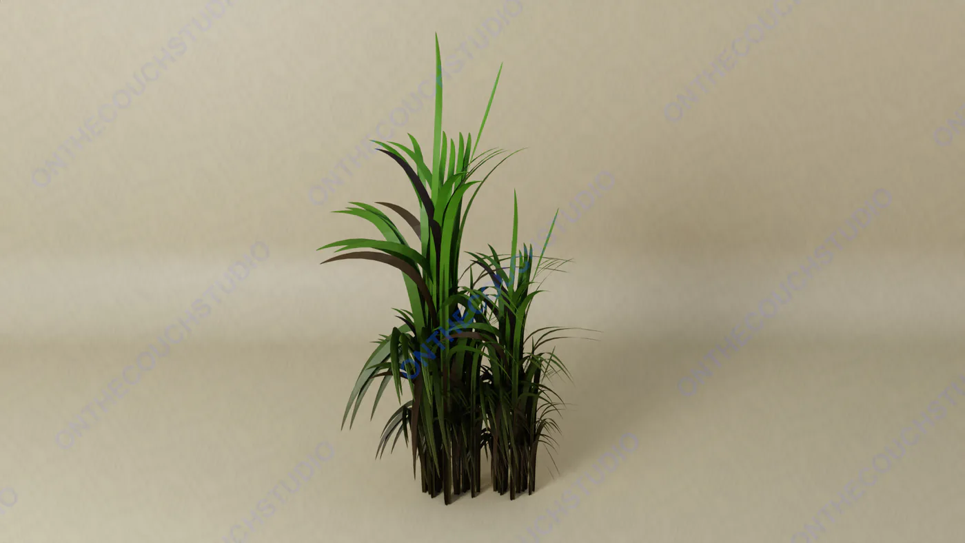Reeds 01 3D Model product preview